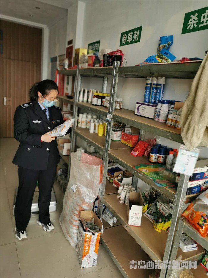 圖為西海岸新區(qū)農(nóng)業(yè)綜合行政執(zhí)法大隊(duì)執(zhí)法隊(duì)員在查看玉米種子包裝。.jpg